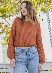 Cropped Sweater In Rust