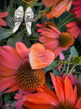Load image into Gallery viewer, Flower Power