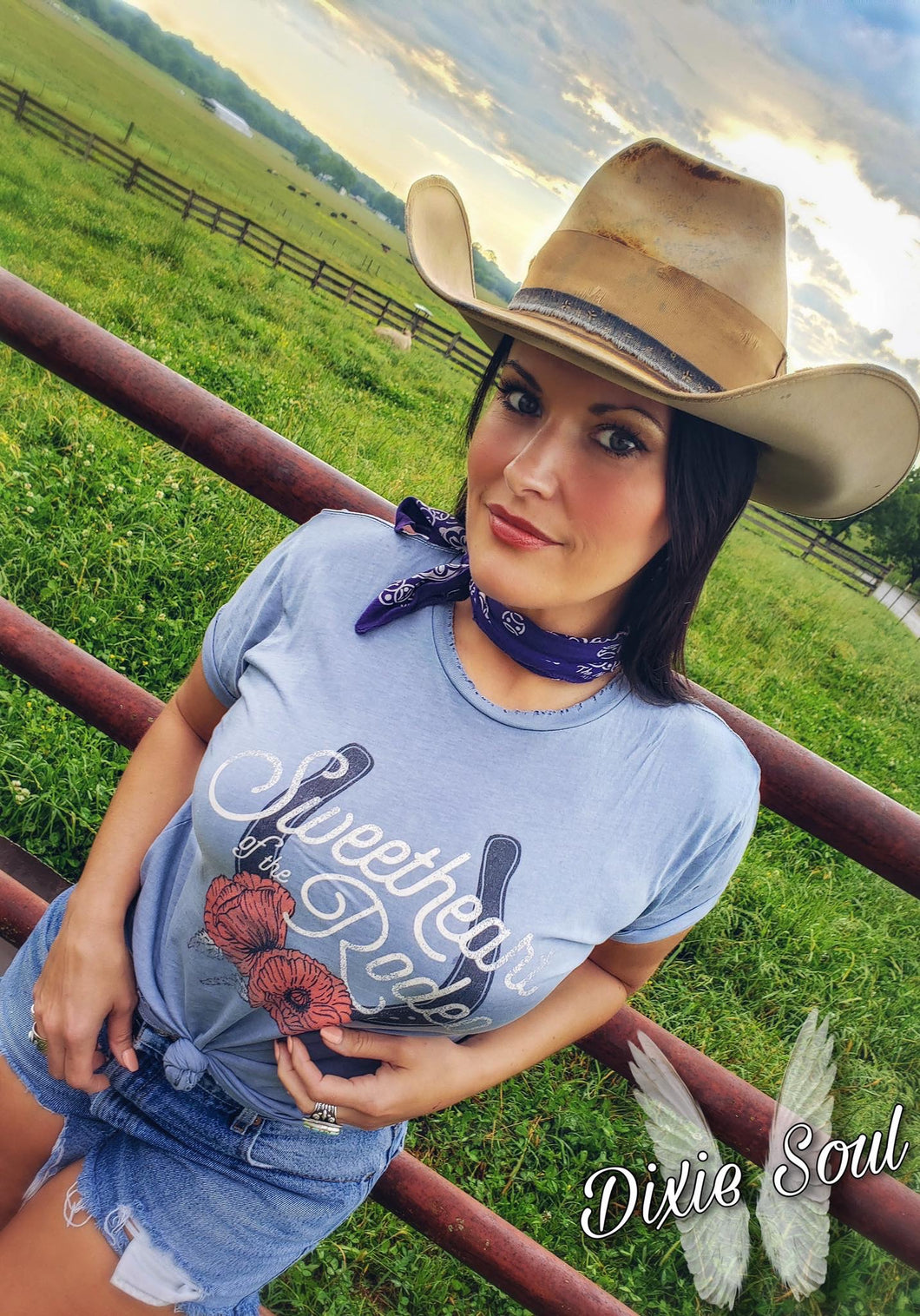 Sweetheart Of The Rodeo